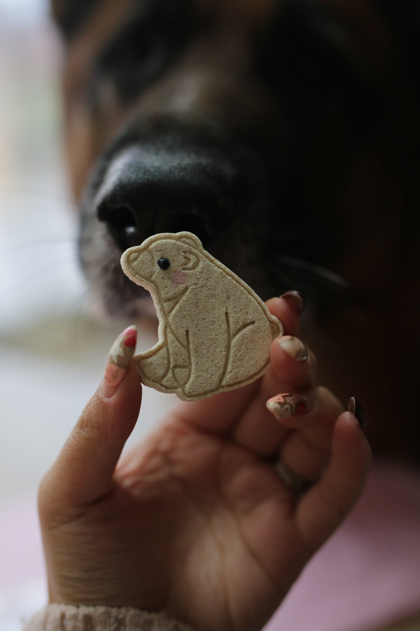 Polar Bear Cookies