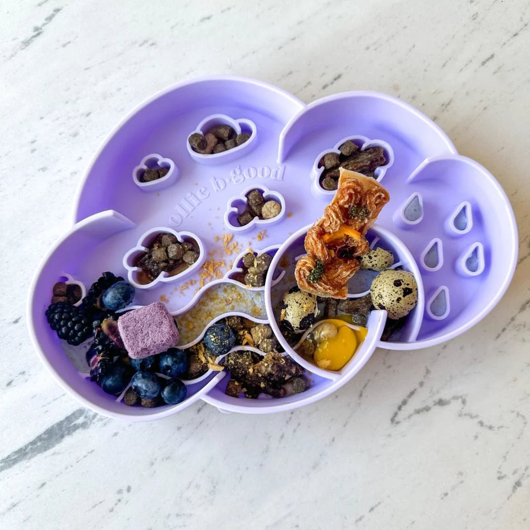 Ollie B. Good Cloud Slow Feeder Bowl | New Colours