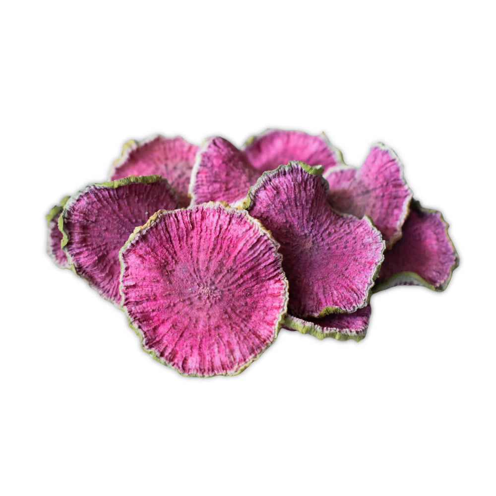 Good Dog Deli Watermelon Radish | Natural Plant Based Dog Treats