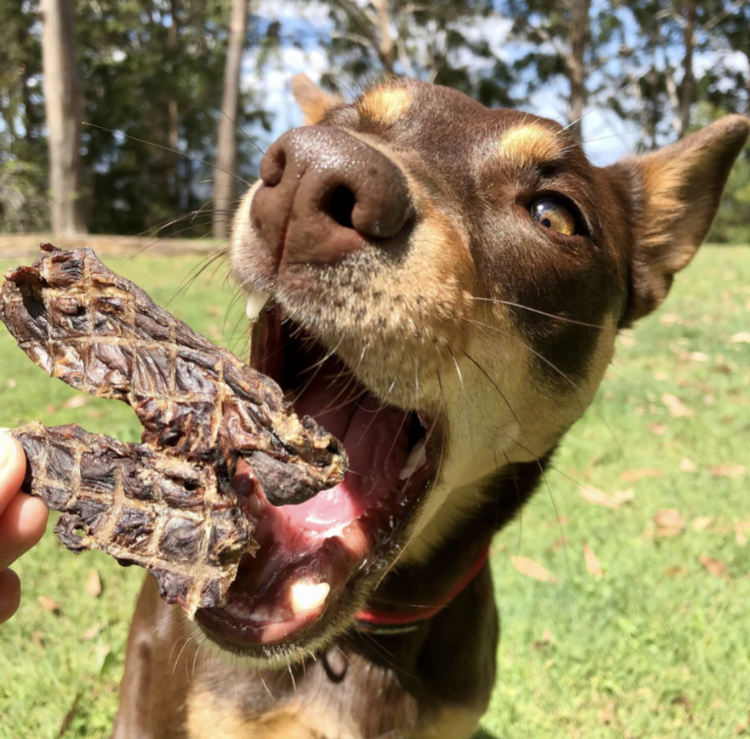 Kangaroo Jerky - Image 3